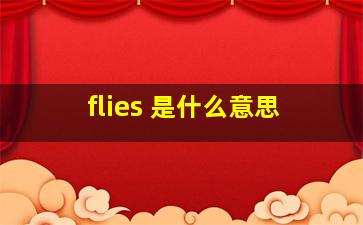 flies 是什么意思